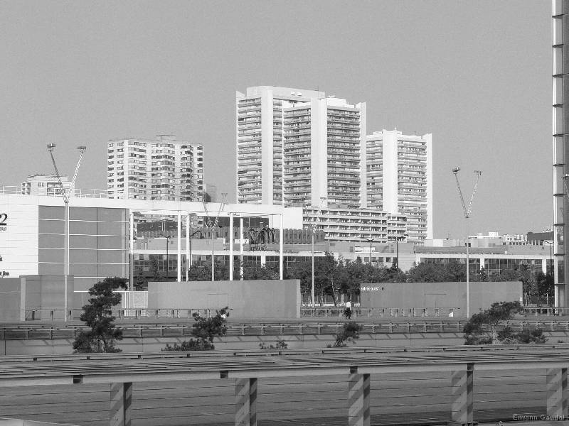 P1010345 